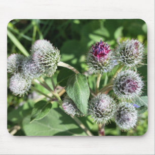 lace over thistle mouse pad