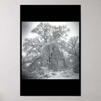 lace poster