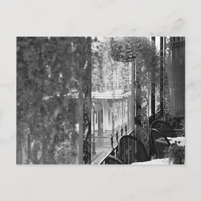 Lace View French Quarter New Orleans Postcard (Front)