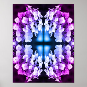 Lacecap Hydrangea Black And White Abstract Tinted Poster