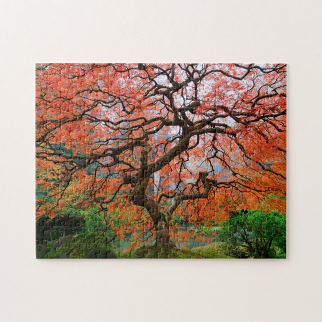 Laceleaf Maple on Foggy Autumn Morning in Portland Jigsaw Puzzle (Horizontal)