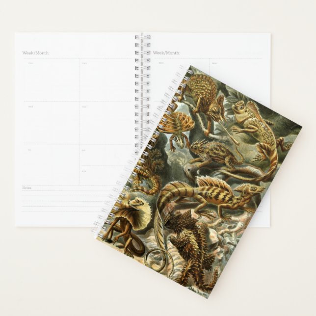 Lacertilia, lizards by Ernst Haeckel Planner (Display)