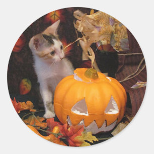 Lacey - Chat d'Halloween / Stickers Kitten