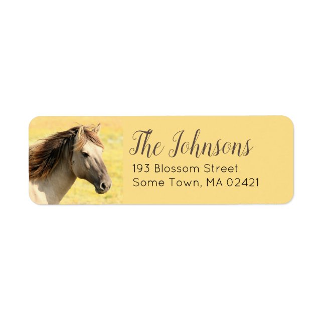 Lâches d'adresse de retour à thème du cheval (Devant)