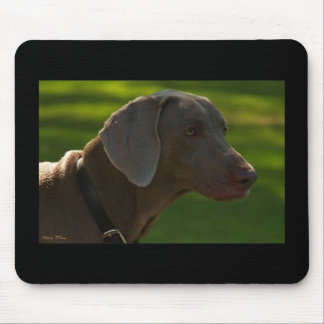 Lacie, Photo by: TEYoung Mouse Pad