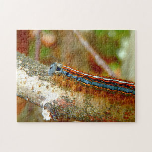 Lackey Moth Caterpillar Photo Puzzle with Gift Box