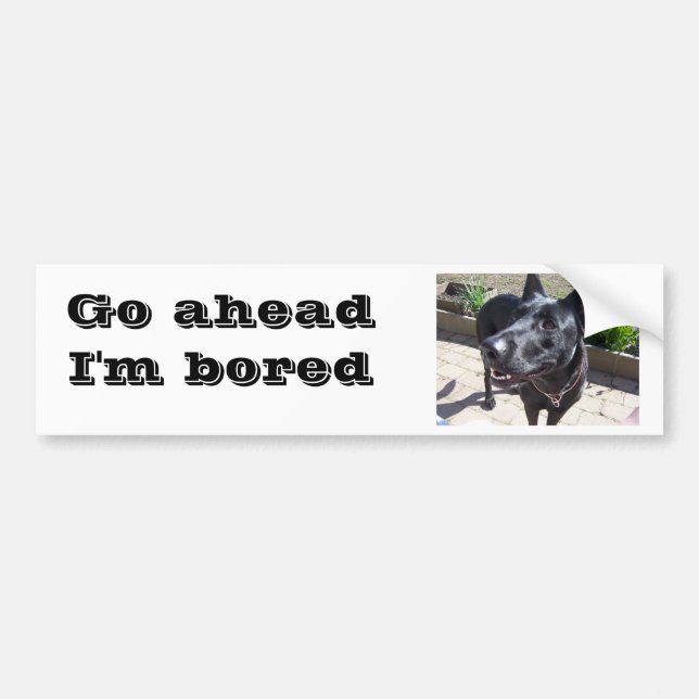 Lacquer Black German Shepherd Bumper Sticker (Front)