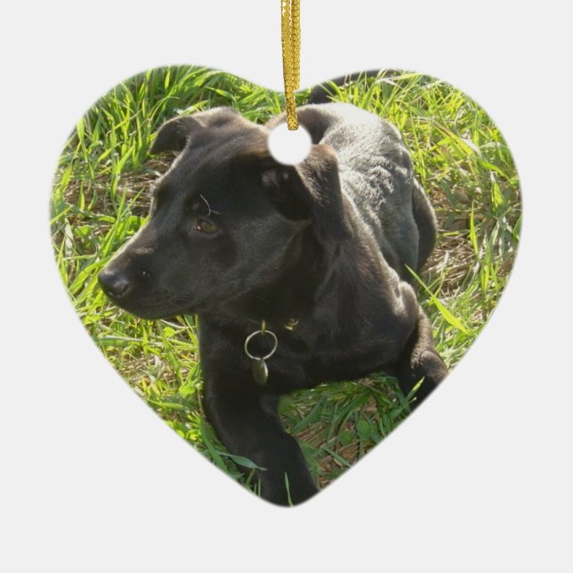 Lacquer Black German Shepherd Pup Ceramic Ornament (Front)