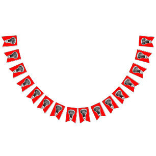 Lacrosse Party Bunting Flags