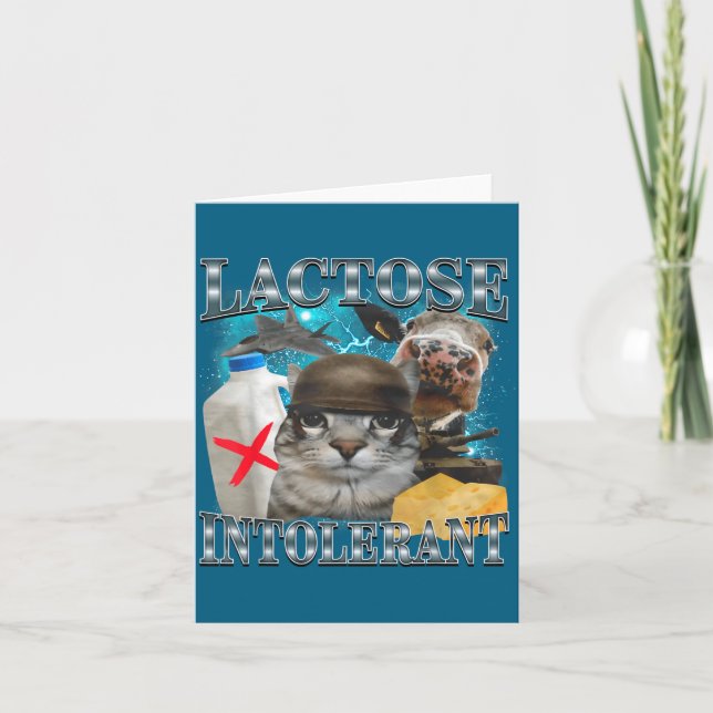 Lactose Intolerant Silly Cat Meme Funny Saying Cat Card (Front)