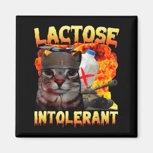 Lactose Intolerant Silly Cat Meme Funny Saying Cat Magnet