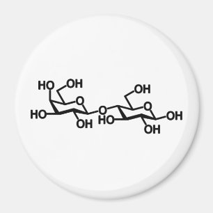 Lactose Milk Structure Magnet