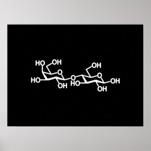 Lactose Milk Structure Poster