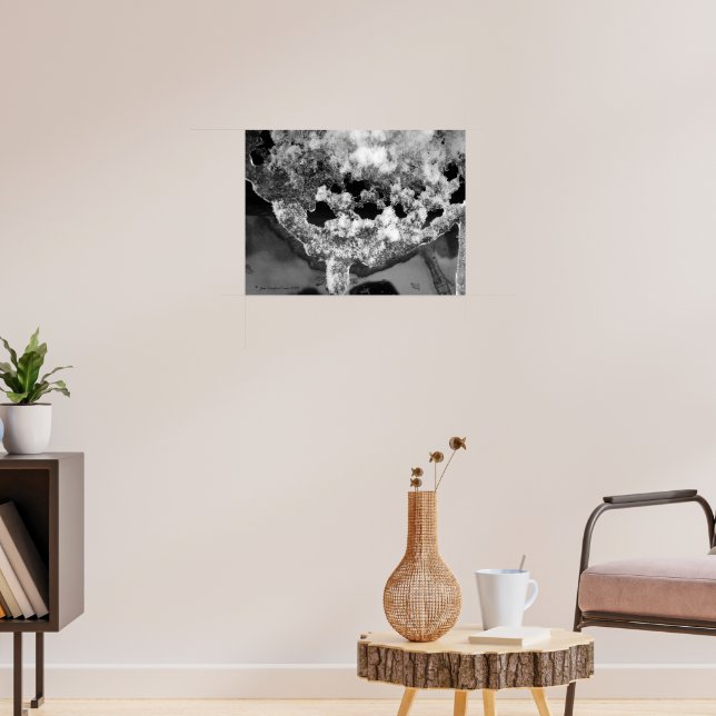 Lacy ice poster (Living Room 3)