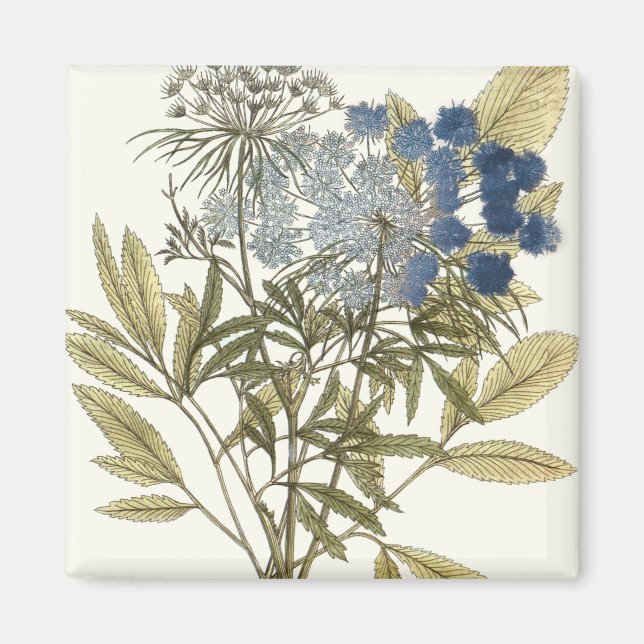 Lacy Leaves - Flowers and Greenery Magnet (Front)
