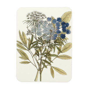Lacy Leaves - Flowers and Greenery Magnet