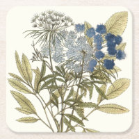 Lacy Leaves - Flowers and Greenery