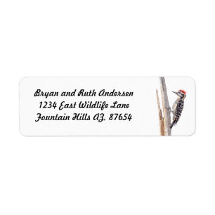 Ladder-Backed Woodpecker