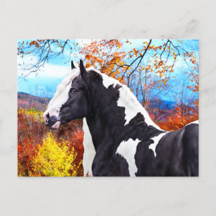"Laddie" Postcard