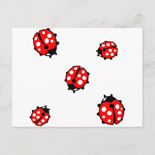 Ladiebug Formation Postcard (Front)