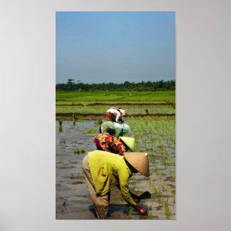 Ladies at work poster