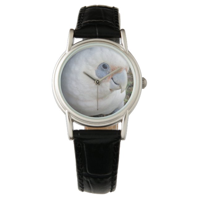 Ladies Cheeky White Cockatoo, Leather Wristwatch (Front)