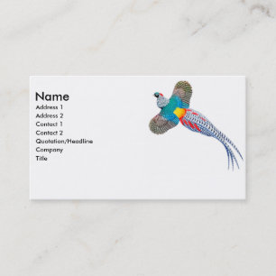 Lady Amherst Pheasant Business Card