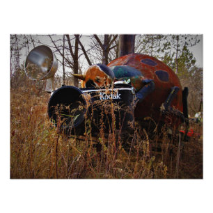 "Lady Behind the Camera" Photo Print