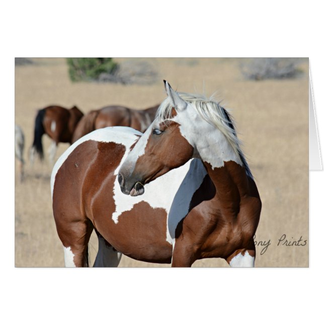 Lady Braveheart Card (Front Horizontal)