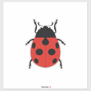 LADY BUG