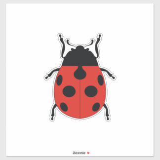 LADY BUG