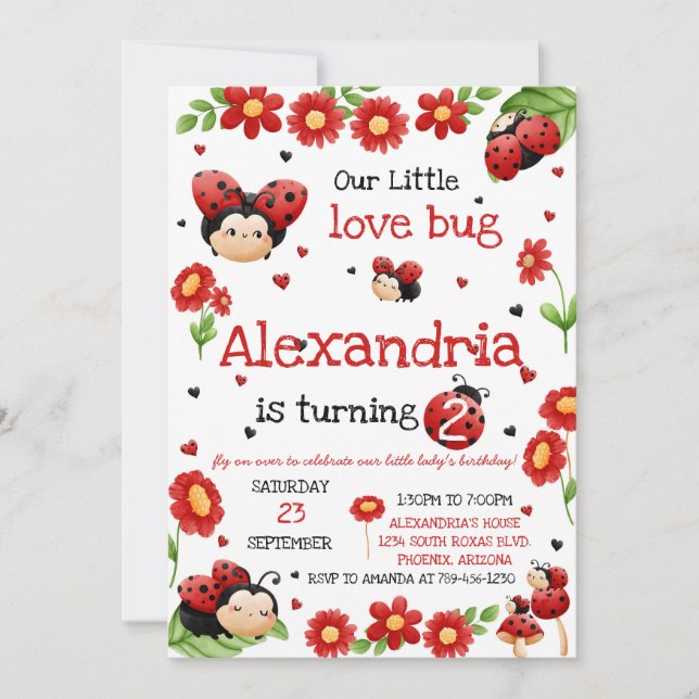 Lady Bug Birthday Invitation (Devant)