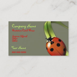 Lady Bug business card