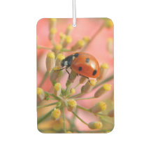 Lady Bug Car Air Freshener