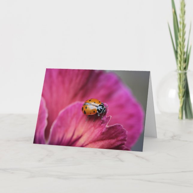 Lady Bug Card (Front)