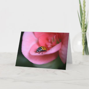 Lady Bug Card