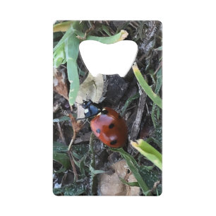 Lady Bug Credit Card Bottle Opener