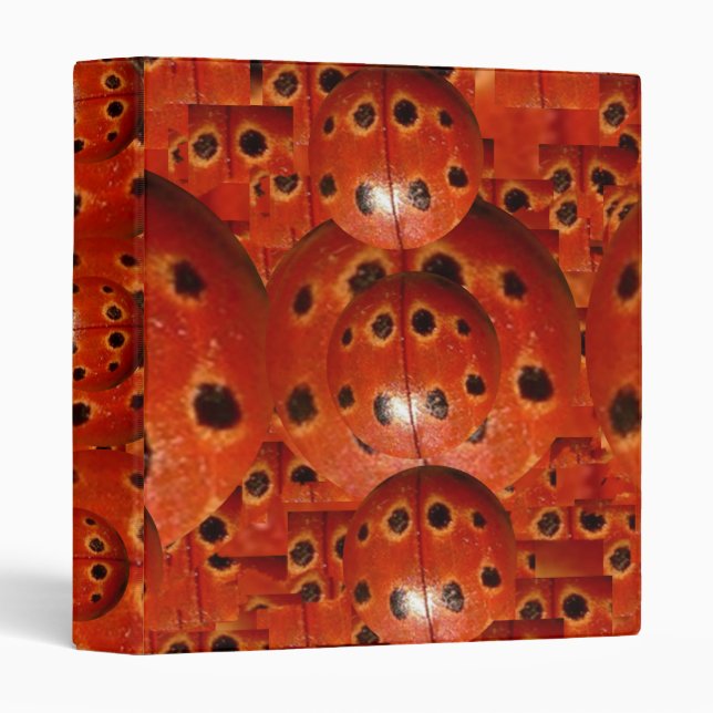 LADY Bug Design n Concept by Naveen Binder (Front/Spine)