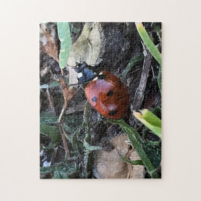 Lady Bug Jigsaw Puzzle (Vertical)