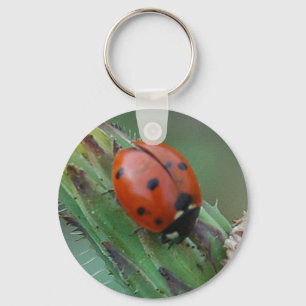 Lady Bug Keychain