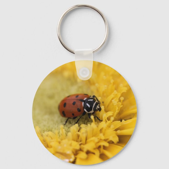 Lady bug keychain (Front)
