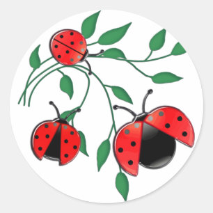 Lady Bug, Lady Bugs Classic Round Sticker