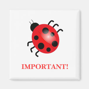 Lady Bug Magnet