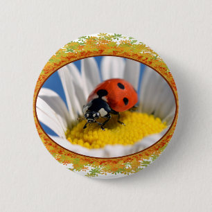Lady bug on daisy in frame of leaves 2 inch round button