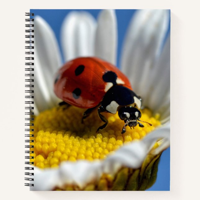 Lady bug on daisy Mug Jigsaw Puzzle Teddy Bear Notebook (Front)