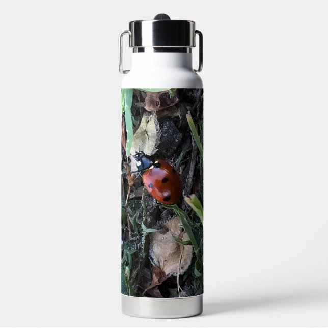 Lady Bug Water Bottle (Front)