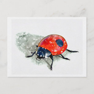 Lady Bug Watercolor Postcard