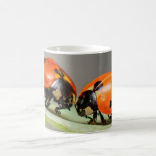 Lady Bugs White Coffee Mug