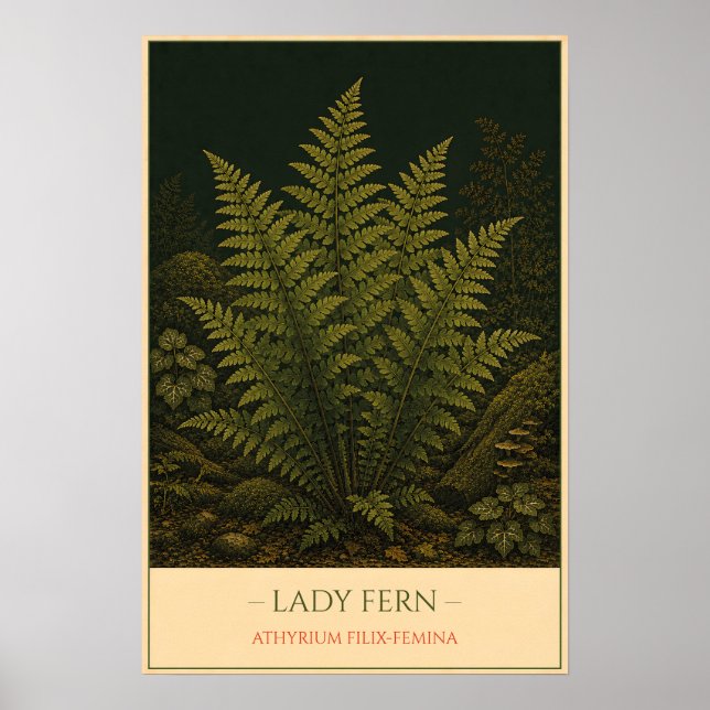 Lady Fern Poster (Front)