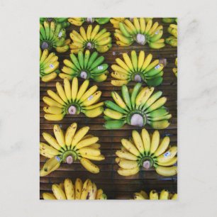 Lady Finger Bananas ~ Egg Banana (กล้วยไข่) Postcard